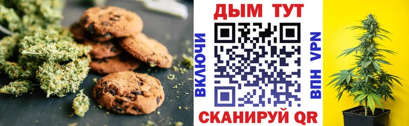 Cannafood конопля  Купить  Судак 